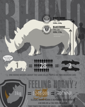Rhinos by the Numbers